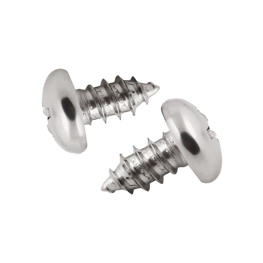 สกรูเกลียวปล่อย TP DEXZON 10X3/8 นิ้ว 25 ตัว