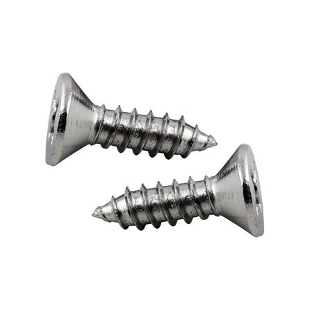 สกรูเกลียวปล่อย TF DEXZON 12X3/4 นิ้ว 25 ตัว