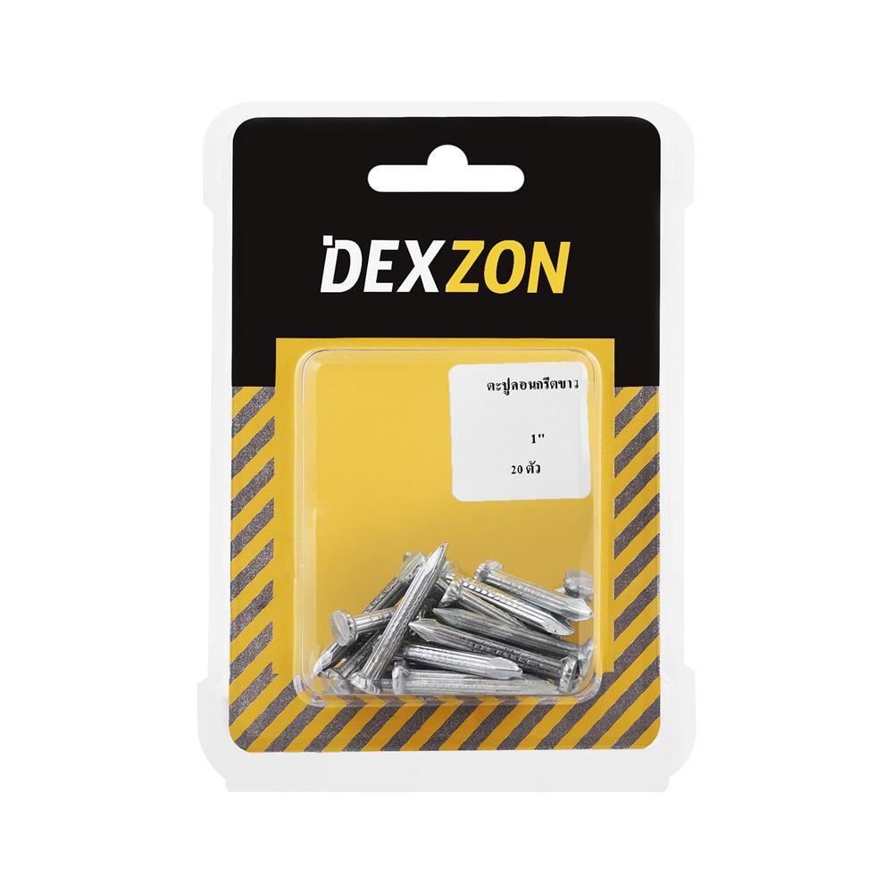 ตะปูคอนกรีตขาว DEXZON 1 นิ้ว แพ็ก 20 ชิ้น