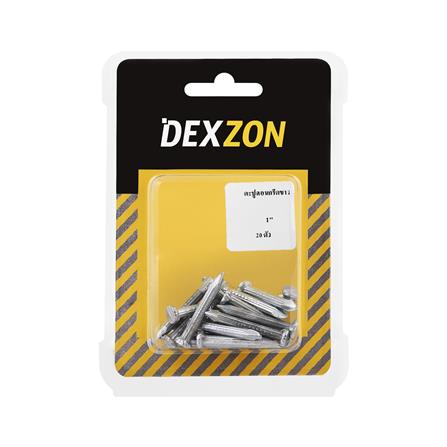 ตะปูคอนกรีตขาว DEXZON 1 นิ้ว แพ็ก 20 ชิ้น_1