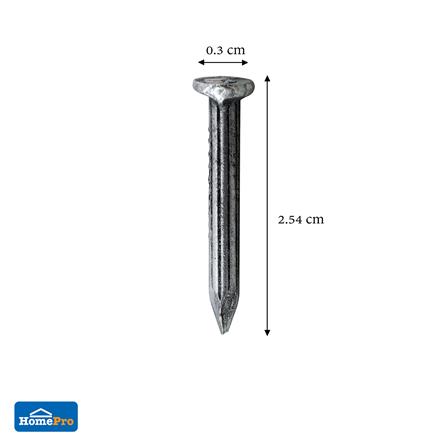 ตะปูคอนกรีตขาว DEXZON 1 นิ้ว แพ็ก 20 ชิ้น_2