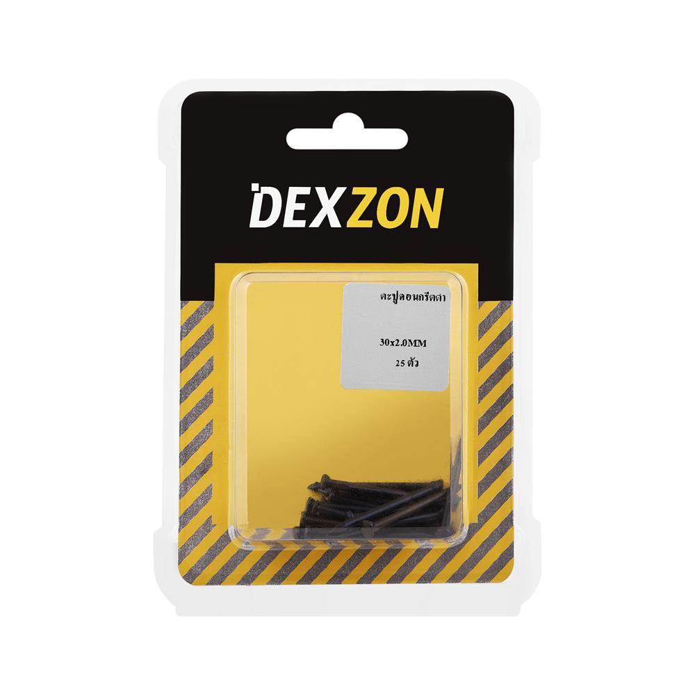 ตะปูคอนกรีตดำ DEXZON 30X2 มม. แพ็ก 25 ชิ้น