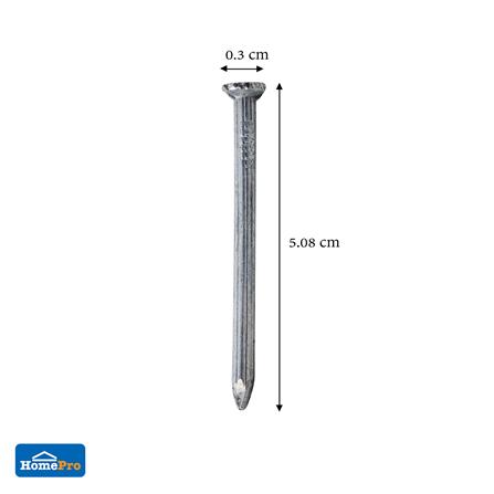 ตะปูคอนกรีตขาว DEXZON 2 นิ้ว แพ็ก 20 ชิ้น_2