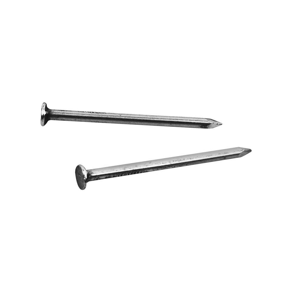 ตะปูตอกไม้ DEXZON 1-1/2 นิ้ว 60 ตัว