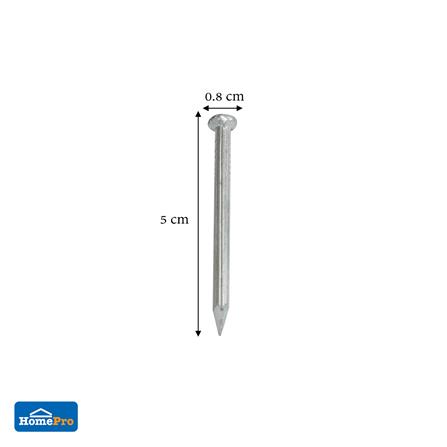 ตะปูคอนกรีตขาว DEXZON 2 นิ้ว 1 กก._2