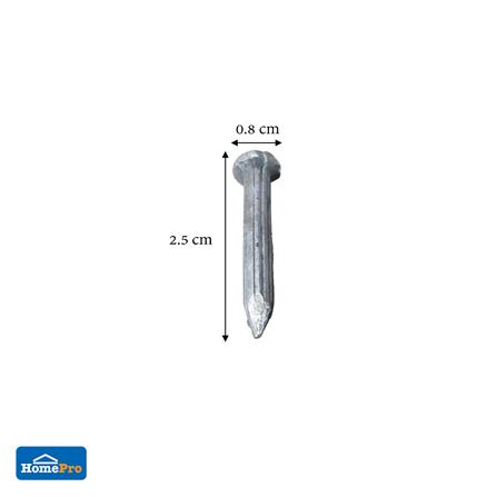 ตะปูคอนกรีตขาว DEXZON 1 นิ้ว 1 กก._2