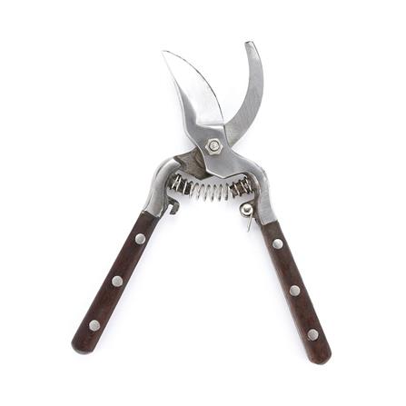 กรรไกรแต่งกิ่ง ปากโค้ง PUMPKIN PTT-220 8.5 นิ้ว_2