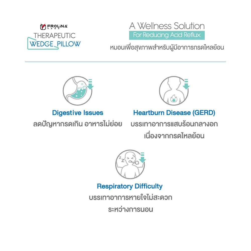 หมอนสุขภาพ เมมโมรี่โฟม FROLINA THERAPEUTIC WEDGE 70x89.3x20 ซม. สีเทา