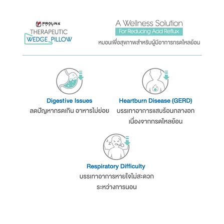 หมอนสุขภาพ เมมโมรี่โฟม FROLINA THERAPEUTIC WEDGE 70x89.3x20 ซม. สีเทา_13