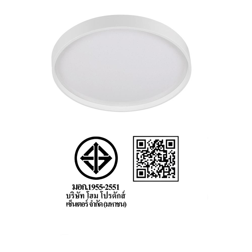 ไฟเพดาน LED CARINI ZY832-S 13 นิ้ว 24 วัตต์ DAYLIGHT สีขาว