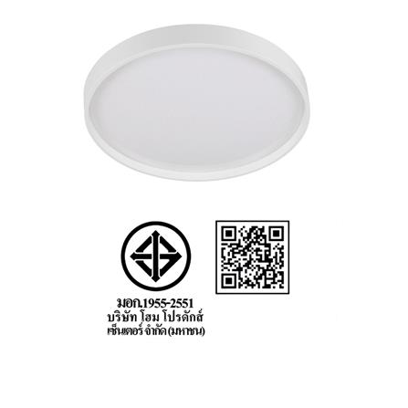 ไฟเพดาน LED CARINI ZY832-S 13 นิ้ว 24 วัตต์ DAYLIGHT สีขาว_6