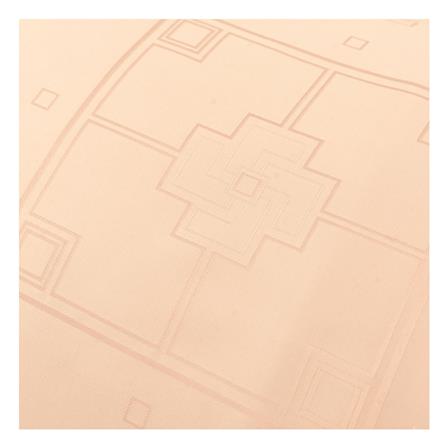 ปลอกหมอนหนุน FROLINA LAMOON BLISS GRAM สีพีช_2