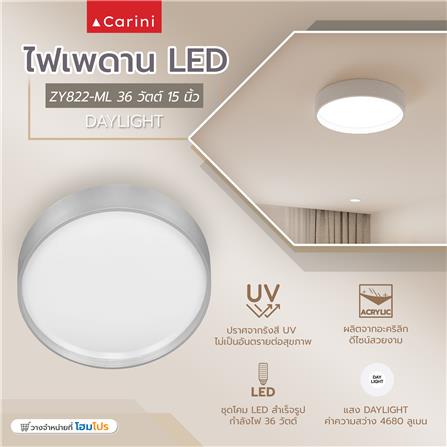 ไฟเพดาน LED CARINI ZY822-ML 15 นิ้ว 36 วัตต์ DAYLIGHT สีขาว/เทา_4
