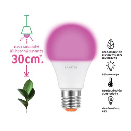 หลอด LED LAMPTAN BULB PLANT GROW 10 วัตต์ VIOLET E27_4