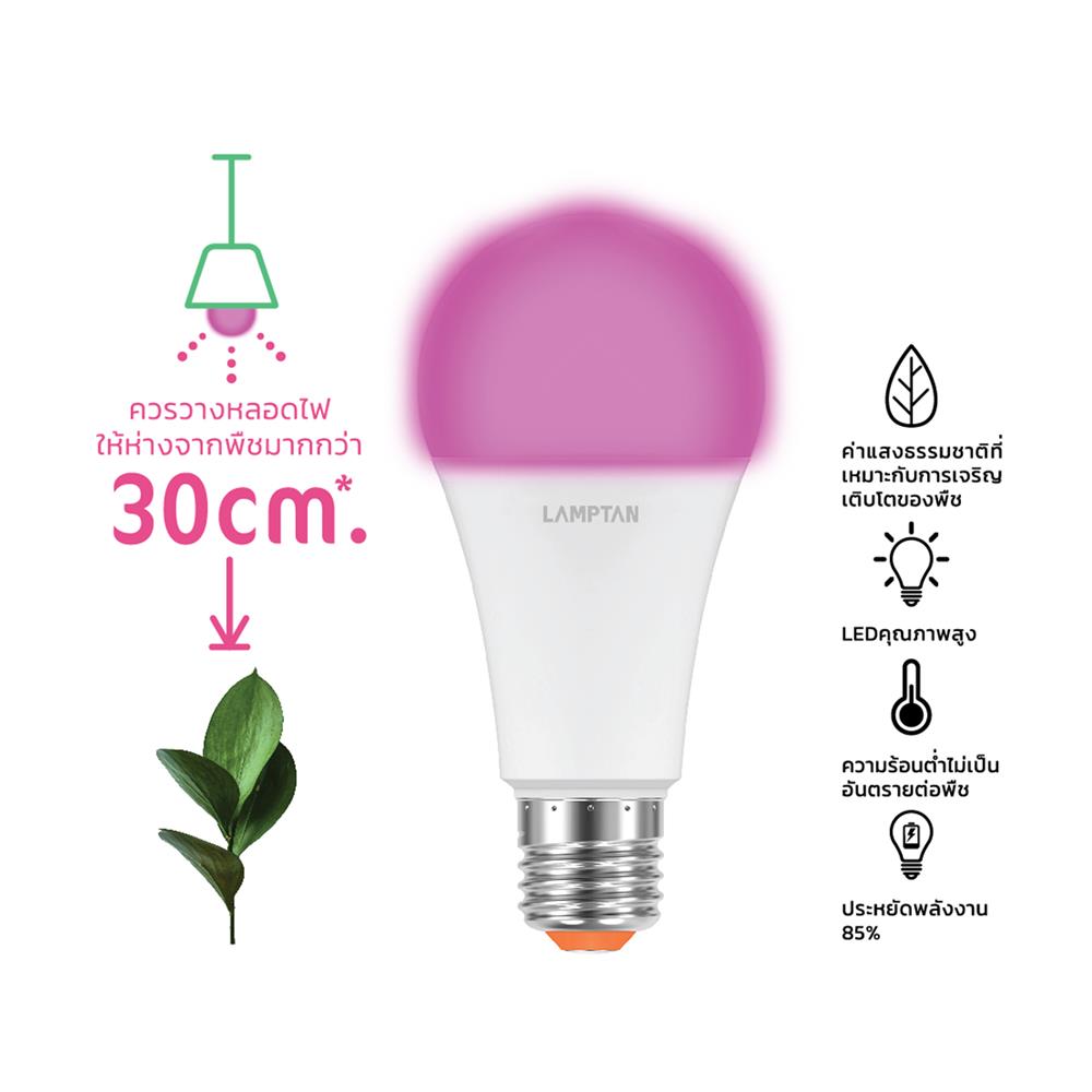 หลอด LED LAMPTAN BULB PLANT GROW 16 วัตต์ VIOLET E27
