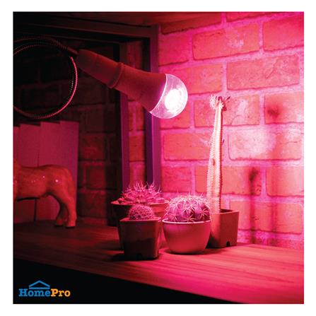 หลอด LED LAMPTAN BULB PLANT GROW 16 วัตต์ VIOLET E27_3