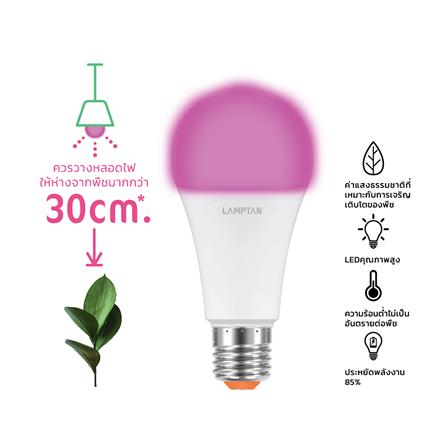 หลอด LED LAMPTAN BULB PLANT GROW 16 วัตต์ VIOLET E27_4