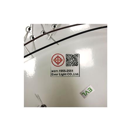 ไฟถาด LED EVL CFC-11049 48 วัตต์ DAYLIGHT/COOL WHITE/WARM WHITE สีใส/เงิน 1 หัว_4