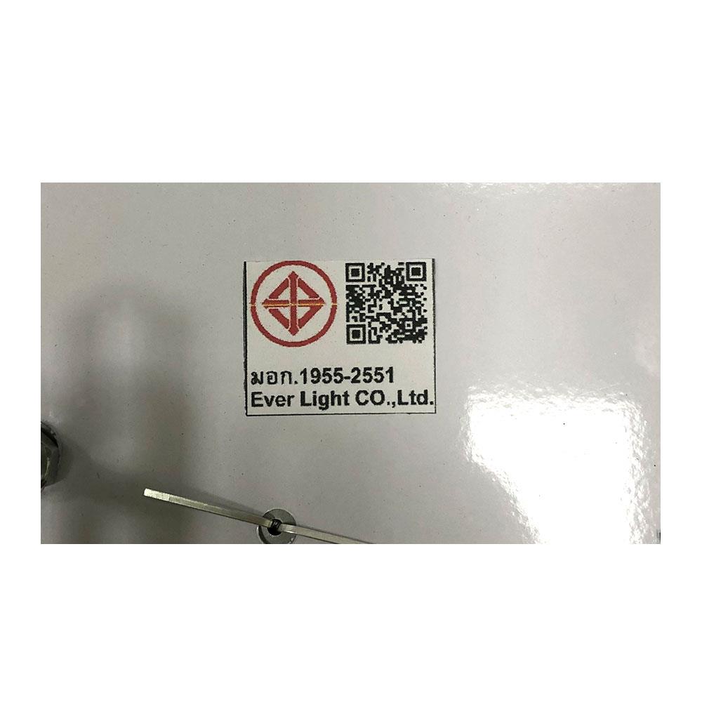 ไฟถาด LED EVL CFC-11052 48 วัตต์ DAYLIGHT/COOL WHITE/WARM WHITE สีใส/เงิน 5+1 หัว
