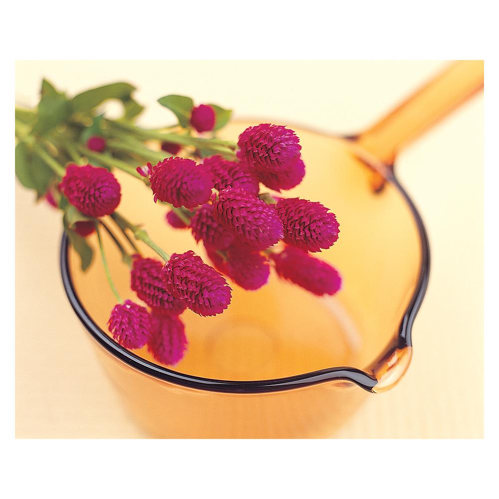 หม้อด้ามแก้ว 1L VISIONS