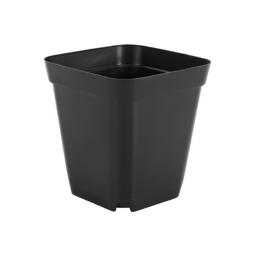 กระถางกระบองเพชร ชัยโย สีดำ แพ็ก 10 ใบ