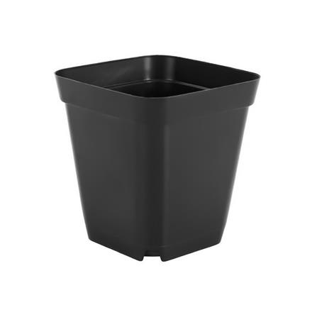 กระถางกระบองเพชร ชัยโย สีดำ แพ็ก 10 ใบ_0