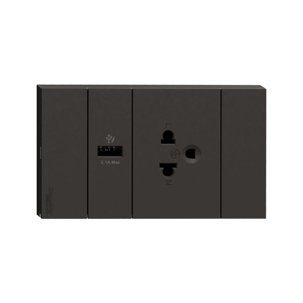 ชุดเต้ารับเดี่ยว 3 ขา + USB 1 ช่อง SCHNEIDER A70426USB_UST_BK สีดำ