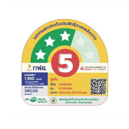 ตู้เย็น 2 ประตู SAMSUNG RT25FGRADB1/ST 9.0 คิว_1