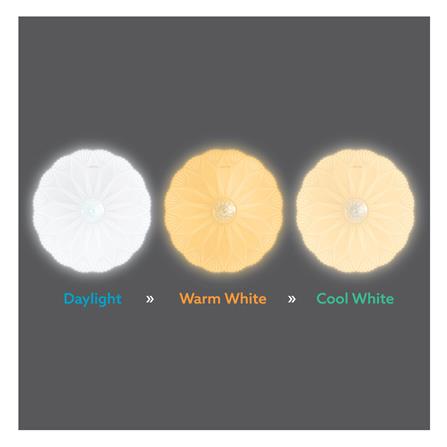 ไฟเพดาน LED LAMPTAN MAGNOLIA 15 นิ้ว 36 วัตต์ DAYLIGHT/COOL WHITE/WARM WHITE สีขาว_5