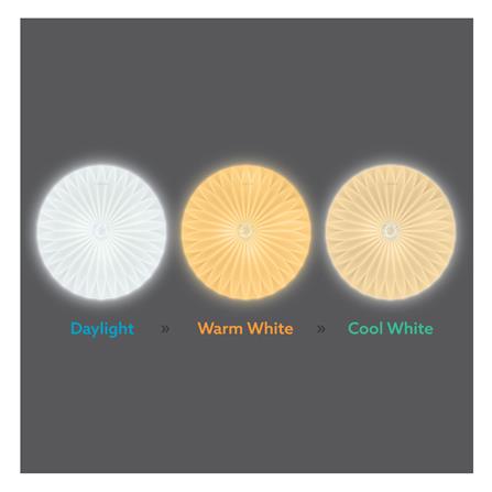 ไฟเพดาน LED LAMPTAN LOTUS 19.5 นิ้ว 50 วัตต์ DAYLIGHT/COOL WHITE/WARM WHITE สีขาว_5