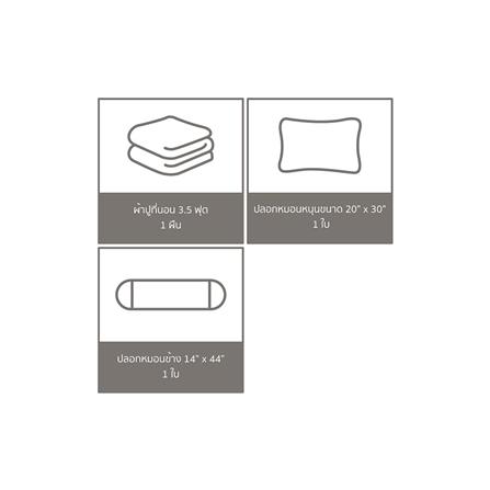 ชุดผ้าปูที่นอน 3.5 ฟุต 3 ชิ้น  FACINO PRINT FA052_5