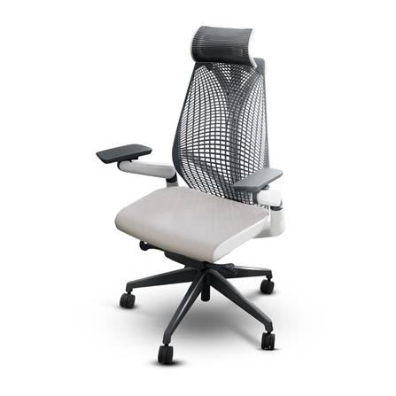 D.I.Y. เก้าอี้เพื่อสุขภาพ BEWELL EMBRAC สีเทา/ขาว_0