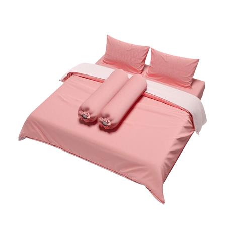 ชุดผ้าปูที่นอน 5 ฟุต 6 ชิ้น  FACINO SOLID SF054_1