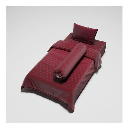 ชุดผ้าปูที่นอน 3.5 ฟุต 3 ชิ้น FACINO PRINT FA050_1