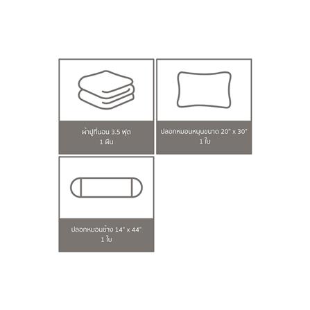 ชุดผ้าปูที่นอน 3.5 ฟุต 3 ชิ้น FACINO PRINT FA050_5