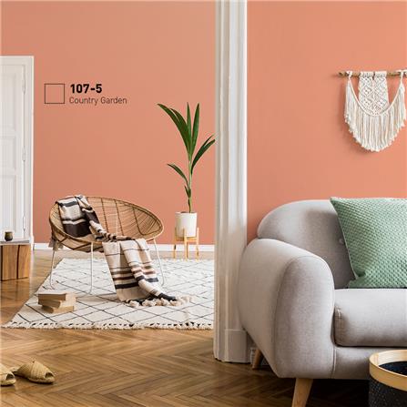 สีน้ำทาภายใน BEGER AIRFRESH GOLD สี COUNTRY GARDEN #107-5 กึ่งเงา 9 ลิตร_1