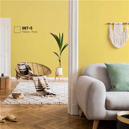 สีน้ำทาภายใน BEGER AIRFRESH GOLD สี YELLOW ROSE #087-5 กึ่งเงา 9 ลิตร_1