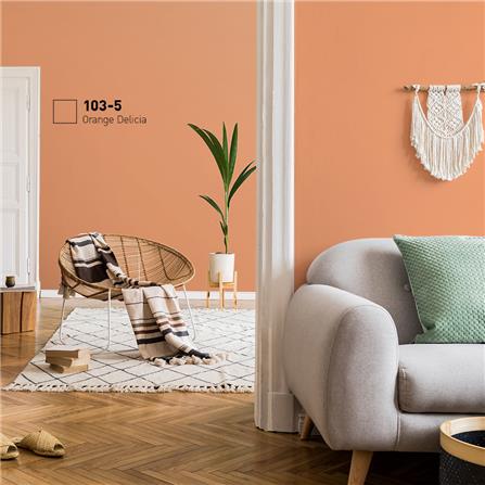 สีน้ำทาภายใน BEGER AIRFRESH GOLD สี ORANGE DELA #103-5 กึ่งเงา 9 ลิตร_1