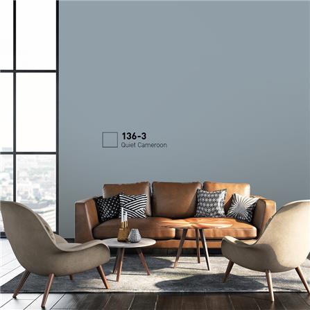 สีน้ำทาภายนอก BEGER COOL DIAMONDSHIELD 15 สี QUIET CAMEROON #136-3 กึ่งเงา 9 ลิตร_1