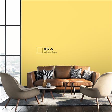 สีน้ำทาภายนอก BEGER COOL DIAMONDSHIELD 15 สี YELLOW ROSE #087-5 กึ่งเงา 9 ลิตร_1