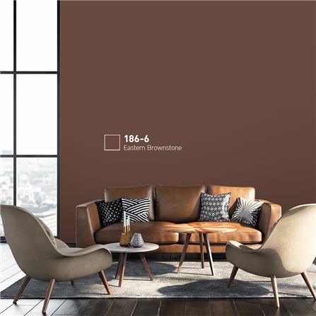 สีน้ำทาภายนอก BEGER COOL DIAMONDSHIELD 15 สี EASTEN BROWNSTONE #186-6 กึ่งเงา 9 ลิตร_1