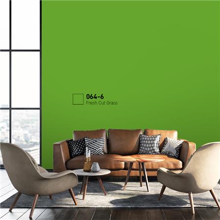 สีน้ำทาภายนอก BEGER COOL DIAMONDSHIELD 15 สี FRESH CUT GRASS #064-6 กึ่งเงา 9 ลิตร_1