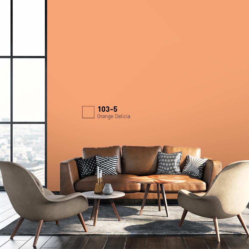 สีน้ำทาภายนอก BEGER COOL DIAMONDSHIELD 15 สี ORANGE DELICIA #103-5 กึ่งเงา 9 ลิตร