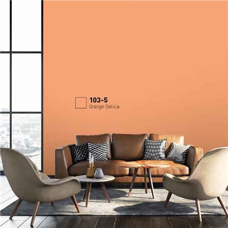 สีน้ำทาภายนอก BEGER COOL DIAMONDSHIELD 15 สี ORANGE DELICIA #103-5 กึ่งเงา 9 ลิตร_1