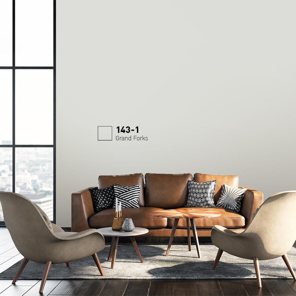 สีน้ำทาภายนอก BEGER COOL DIAMONDSHIELD 15 สี GRAND FORKS #143-1 กึ่งเงา 9 ลิตร