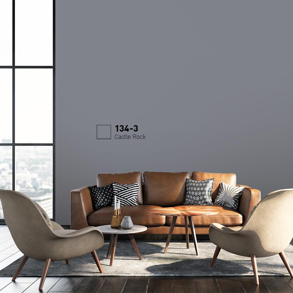 สีน้ำทาภายนอก BEGER COOL DIAMONDSHIELD 15 สี CASTLE ROCK #134-3 กึ่งเงา 9 ลิตร