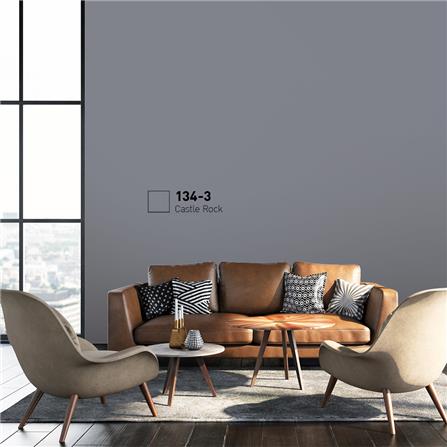 สีน้ำทาภายนอก BEGER COOL DIAMONDSHIELD 15 สี CASTLE ROCK #134-3 กึ่งเงา 9 ลิตร_1