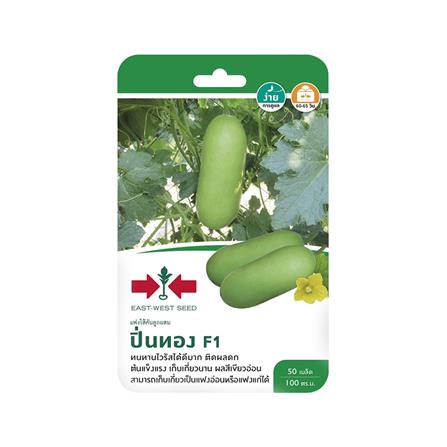 เมล็ดพันธุ์แฟงไส้ตันลูกผสม F1 ปิ่นทอง ศรแดง_0