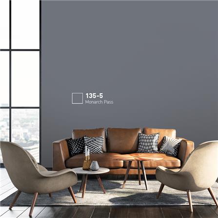 สีน้ำทาภายนอก BEGER COOL DIAMONDSHIELD 15 สี MONARCH PASS #115-5 กึ่งเงา 9 ลิตร_1