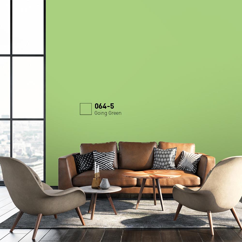 สีน้ำทาภายนอก BEGER COOL DIAMONDSHIELD 15 สี FAVORITE PLANT #064-5 กึ่งเงา 9 ลิตร